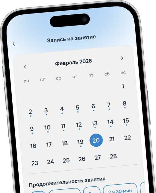 Приложение автошколы: статистика практики